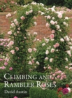 Image for Climbing and rambler roses