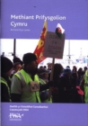 Image for Methiant Prifysgolion Cymru (the Failure of the Universities of Wales)