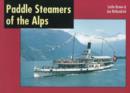 Image for Paddle Steamers of the Alps
