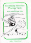 Image for Secondary Selection Practice Tests for Nine and Ten-year-olds