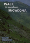 Image for Walk in Magnificent Snowdonia