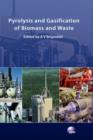 Image for Pyrolysis and Gasification of Biomass and Waste