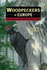 Image for Woodpeckers of Europe : A Study of the European Picidae