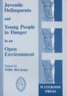Image for Juvenile Delinquents and Young People in Danger in an Open Environment : Utopia or Reality?, Legal Frameworks and New Practices, Comparative Approach
