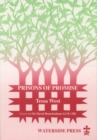 Image for Prisons of Promise