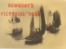 Image for Newquay&#39;s Pictorial Past