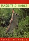 Image for Rabbits &amp; hares