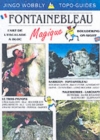 Image for Fontainebleau magique  : bouldering on-sight