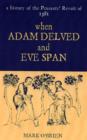 Image for When Adam delved and Eve span  : a history of the Peasants&#39; Revolt of 1381