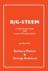 Image for B/G-Steem : A Self-esteem Scale with Locus of Control Items