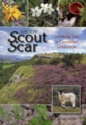 Image for About Scout Scar