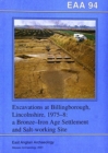 Image for EAA 94: Excavations at Billingborough, Lincolnshire, 1975-8 : A Bronze-Iron Age Settlement and Salt-working Site