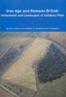 Image for Iron Age and Romano-British Settlements and Landscapes of Salisbury Plain