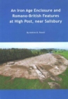 Image for An Iron Age enclosure and Romano-British features at High Post, near Salisbury