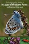 Image for A Photographic Guide to Insects of the New Forest and Surrounding Area
