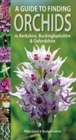 Image for A Guide to Finding Orchids in Berkshire, Buckinghamshire and Oxfordshire