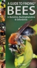 Image for A Guide to Finding Bees in Berkshire, Buckinghamshire and Oxfordshire