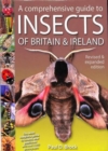 Image for A comprehensive guide to insects of Britain &amp; Ireland