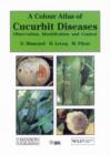 Image for Cucurbit Diseases : Observation, Identification &amp; Control