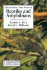 Image for Reptiles and Amphibians