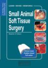 Image for Self-assessment colour review of small animal soft tissue surgery