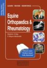 Image for Equine Orthopaedics and Rheumatology