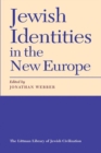 Image for Jewish Identities in the New Europe