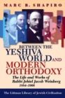 Image for Between the Yeshiva World and Modern Orthodoxy