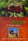 Image for Medicinal plants of South Africa