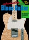 Image for Introducing Blues Guitar