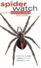 Image for Spiderwatch : A Guide to Australian Spiders
