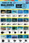 Image for Maldives Fish Field Guide &quot;Top 200+&quot;
