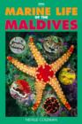 Image for Marine Life of the Maldives