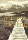 Image for Journeys in Healing