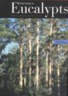 Image for Field Guide to Eucalypts