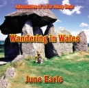 Image for Adventures of a Far Away Bear : Book 4 - Wandering in Wales
