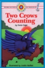 Image for Two Crows Counting