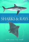 Image for Field Guide to Australian Sharks and Rays