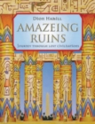 Image for Amazeing ruins  : journey through lost civilisations