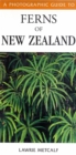 Image for A photographic guide to ferns of New Zealand