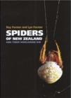 Image for Spiders of New Zealand