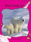 Image for Red Rocket Readers : Emergent Non-Fiction Set A: What Feels Cold?