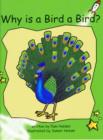Image for Red Rocket Readers : Early Level 4 Fiction Set B: Why is a Bird a Bird?