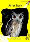 Image for Red Rocket Readers : Early Level 2 Non-Fiction Set B: After Dark