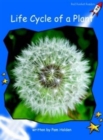 Image for Red Rocket Readers : Early Level 3 Non-Fiction Set B: Life Cycle of a Plant