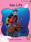 Image for Red Rocket Readers : Pre-Reading Non-Fiction Set A: Sea Life (Reading Level 1/F&amp;P Level A)