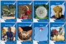 Image for Red Rocket Readers : Early Level 3 Non-Fiction Set B Pack (Reading Level 9-11/F&amp;P Level D-H)