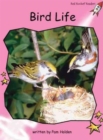 Image for Red Rocket Readers : Pre-Reading Non-Fiction Set B: Bird Life (Reading Level 1/F&amp;P Level B)