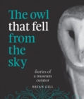 Image for The Owl That Fell from the Sky