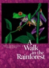 Image for A Walk in the Rainforest